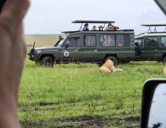 Maasai Mara Safari: Unforgettable Wildlife & Cultural Adventure in Kenya
