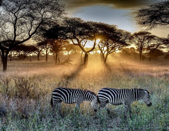 13-Day Magical Kenya Safari