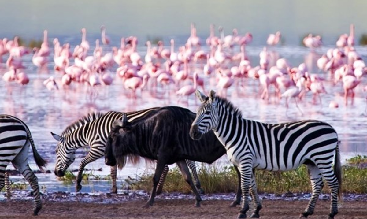 Lake Nakuru