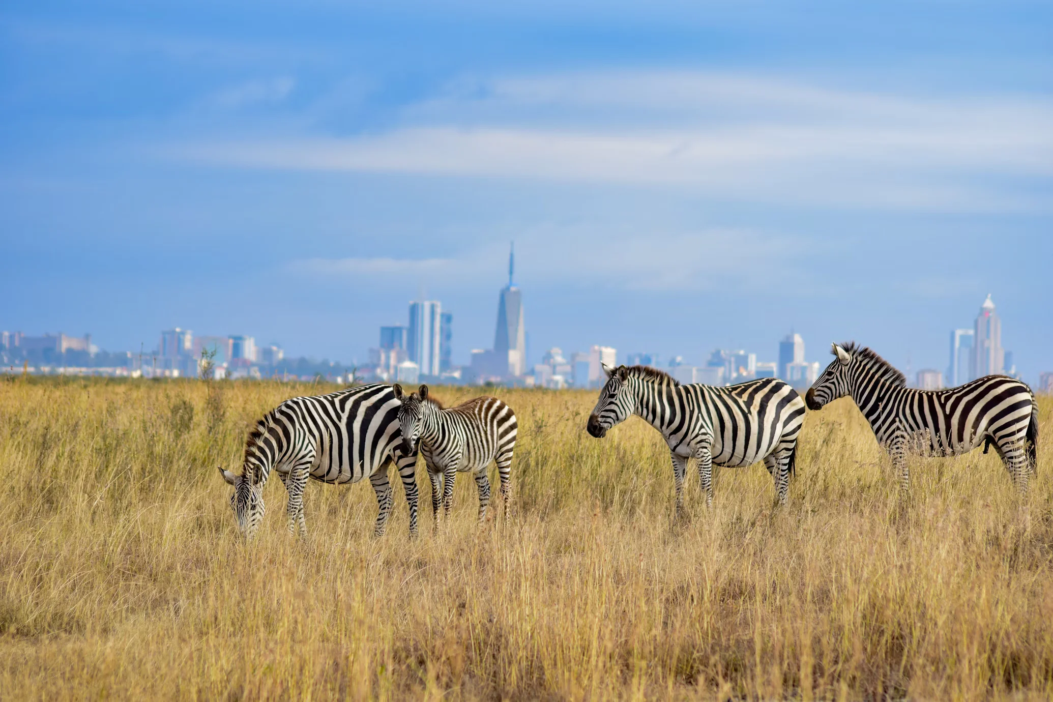 Nairobi