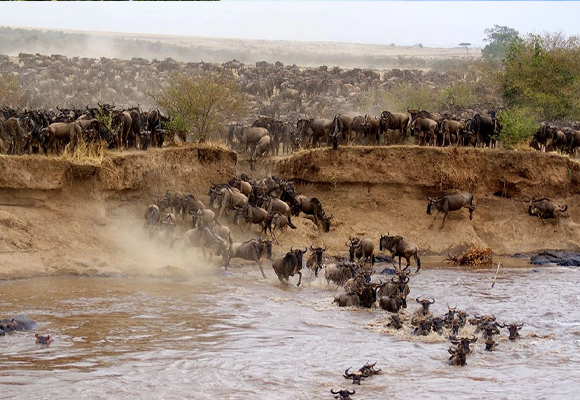3 Days Maasai Mara Guided Safari from Nairobi