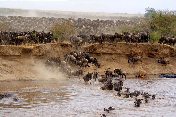 3 Days Maasai Mara Guided Safari from Nairobi