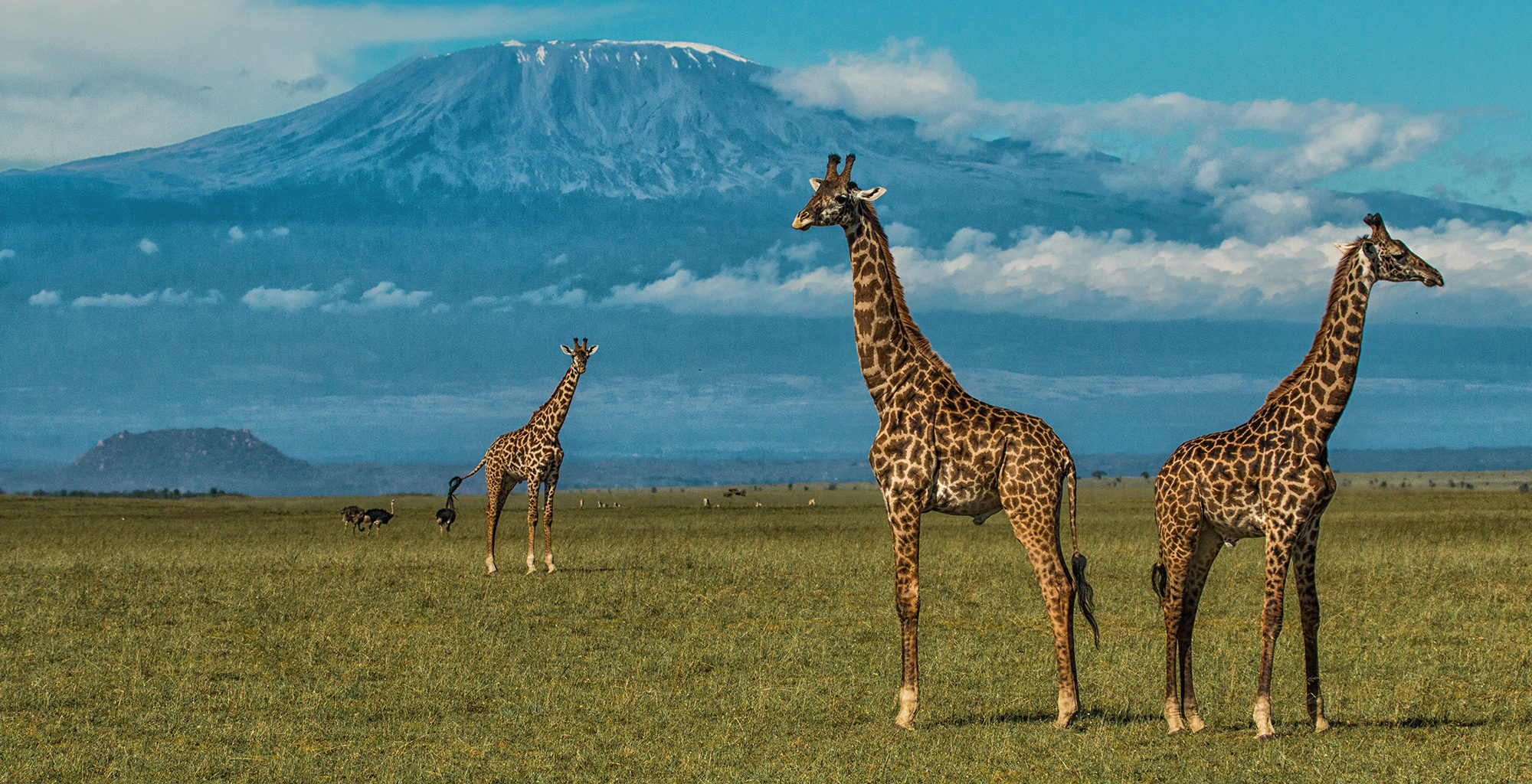 Amboseli