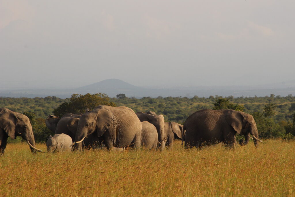 top 10 places to visit in kenya